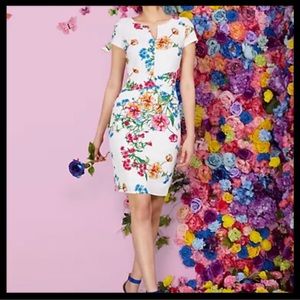 New York & Company Dress